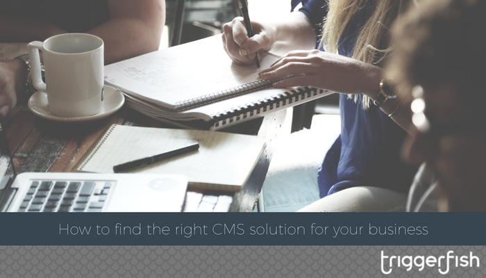 How to find the right CMS solution for your business