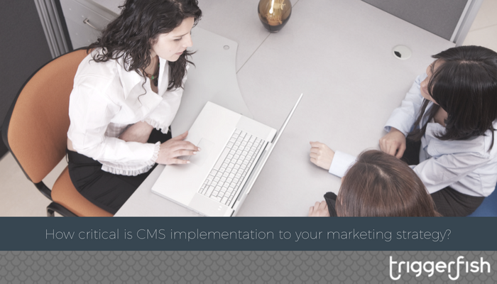 How critical is CMS implementation to your marketing strategy?